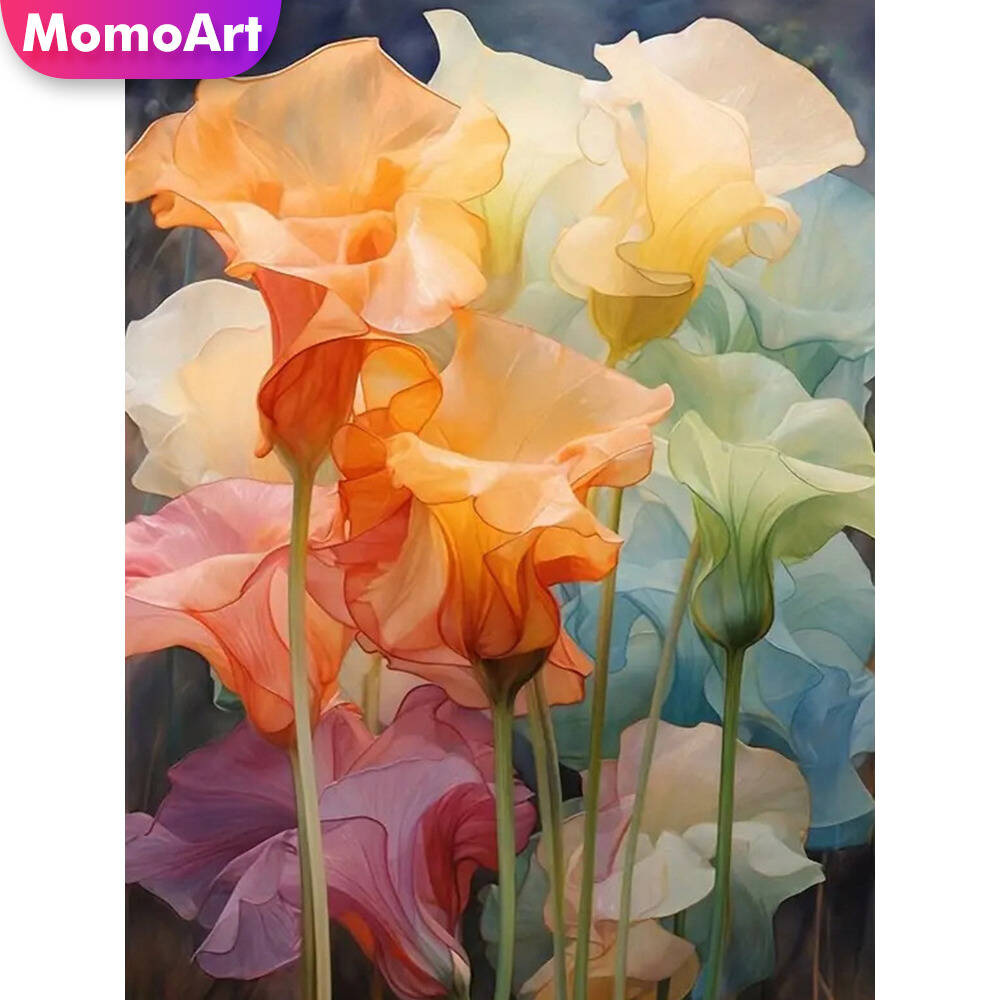 Momoart-pintura de diamante de - Resin Art Price reseña y precio